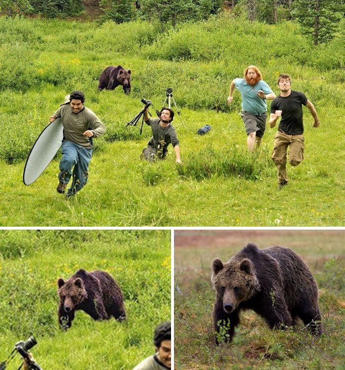 Fotografer NatGeo yang dikejar beruang