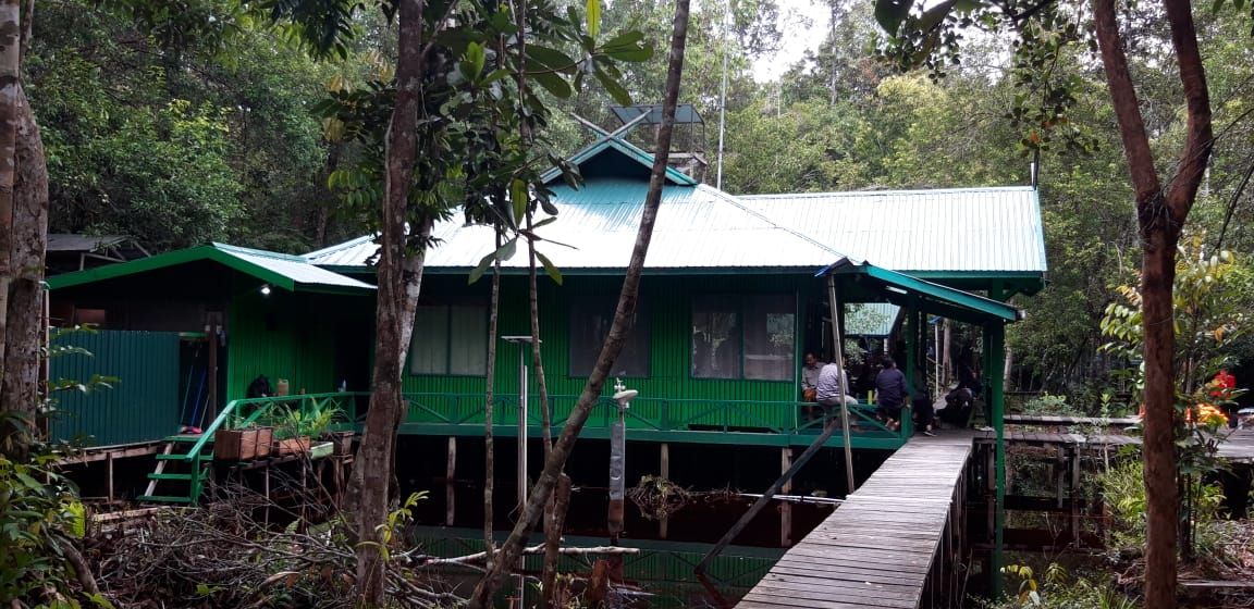 Jembatan kayu