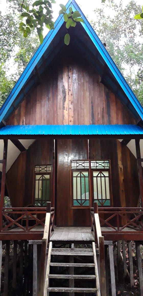 Kabin di Taman Nasional Sebangau