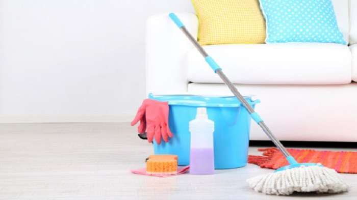 ilustrasi cleaning service