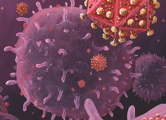 Ilustrasi virus HIV