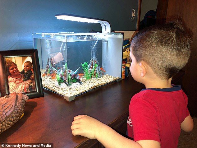 Anaknya suka melihat ikan di aquarium.