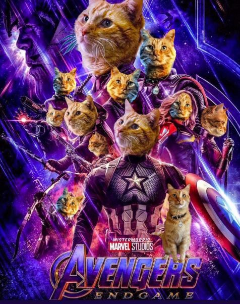 Meme Avengers: Endgame