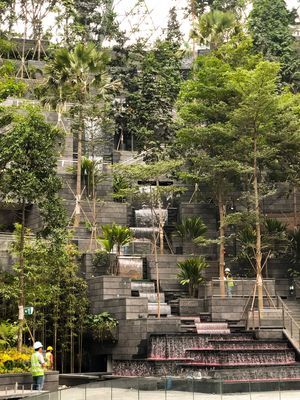 Air terjun dalam ruangan tertinggi di dunia bernama Rain Vortex di Bandara Jewel Changi, Singapura.