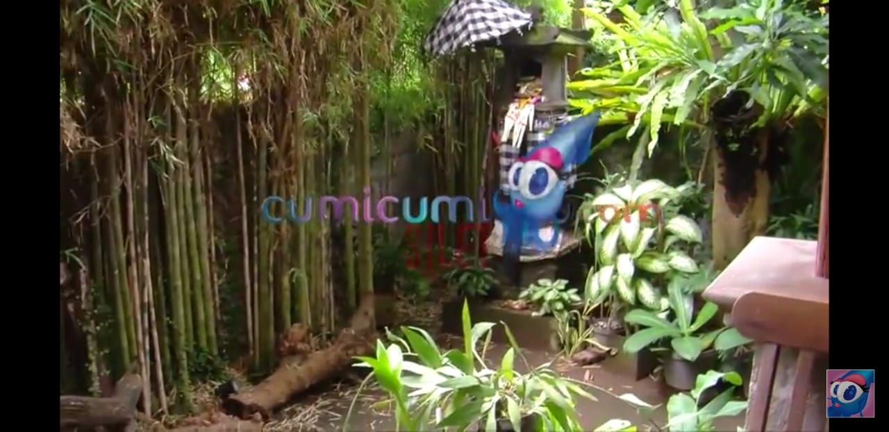 Bagian depan rumah yang ditanami banyak pohon bambu