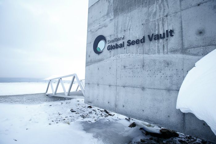 Bangunan Doomsday Vault tampak luar