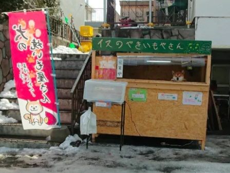 Ken menjaga kios ubi panggang di Jepang