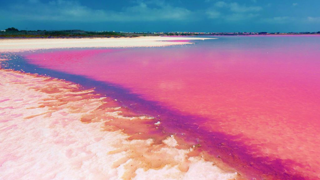 Air Danau Retba yang berwana pink