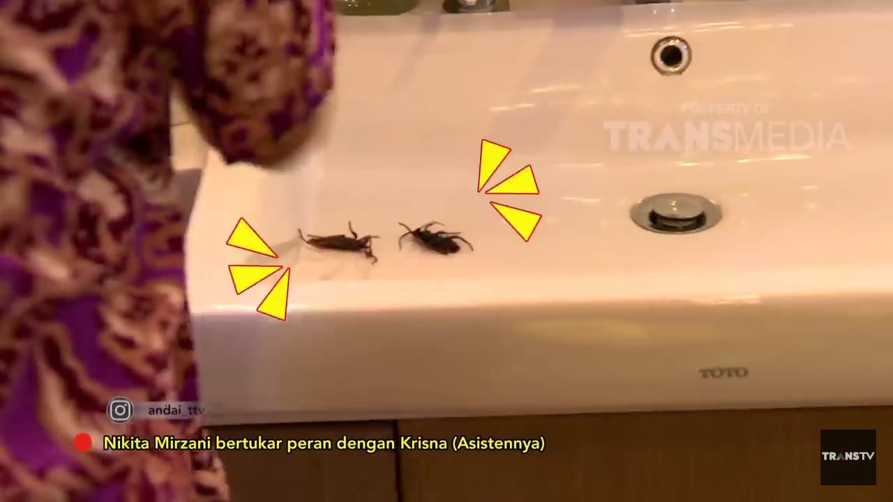 Kamar mandi Nikita Mirzani