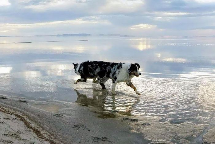 Korban 'malpraktek' efek panorama