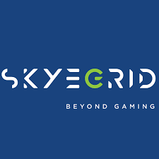 Skyegrid, Penyedia Layanan Cloud Gaming