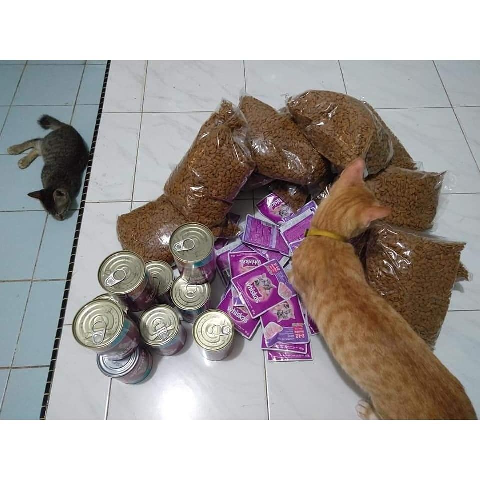 Makanan kucing yang diunggah mariani.