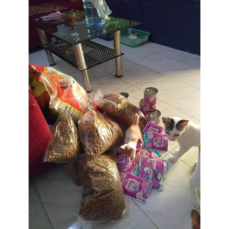 Makanan kucing yang diunggah mariani.