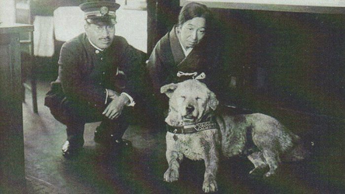 Anjing jenis Akita Jepang bernama Hachiko (duduk) di depan pemiliknya Profesor Ueno dan isterinya 