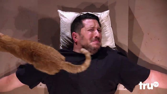 Miliki Ketakutan Besar Pada Kucing, Pria Ini 'Disiksa' Teman-temannya, Tonton Video Lucunya!