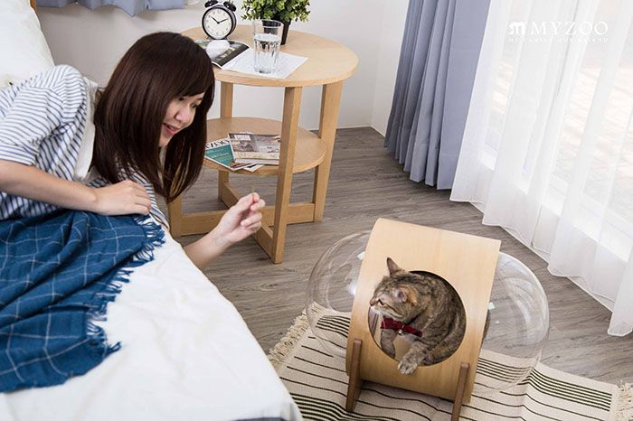 Terinspirasi Wahana Antariksa Klasik, Perusahaan Ini Ciptakan Tempat Tidur yang Membuat Kucing Seperti Astronot Kecil