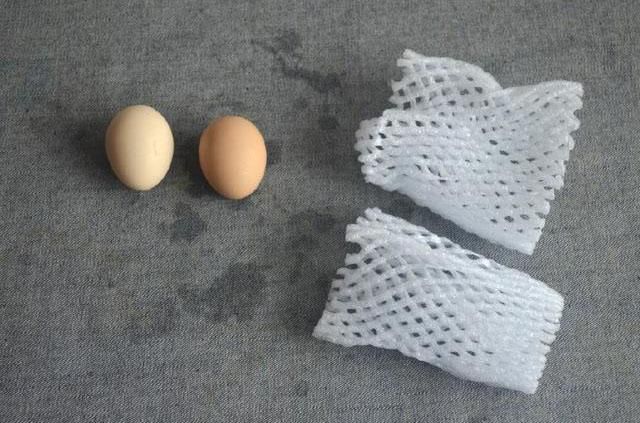 Pelindung telur.