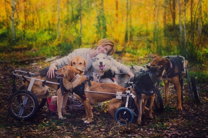 Inspiratif! Fotografer Rusia Terkenal Mengakhiri Karirnya dan Memilih Hidup di Hutan dengan 100 Anjing Sakit