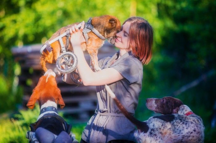 Inspiratif! Fotografer Rusia Terkenal Mengakhiri Karirnya dan Memilih Hidup di Hutan dengan 100 Anjing Sakit