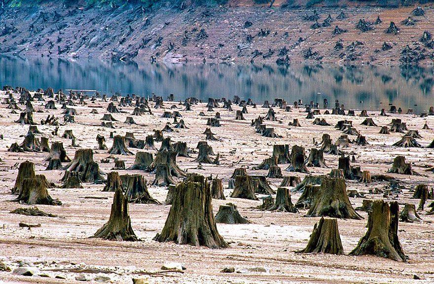 Hutan dihancurkan untuk bendungan di Oregon.