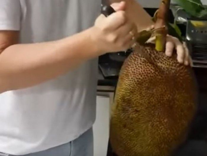 Hanya Butuh 2 Menit Begini Cara Mudah Mengupas Buah Nangka Tanpa Takut Lengket