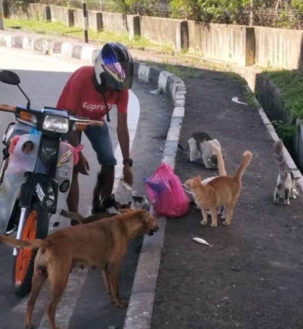 Anfalazie Anuar memberi makan anjing dan kucing jalanan