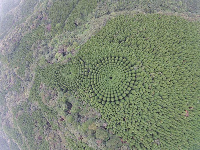 Eksperimen Para Ilmuwan Jepang Ini Hasilkan 'Crop Circles' yang Menakjubkan!