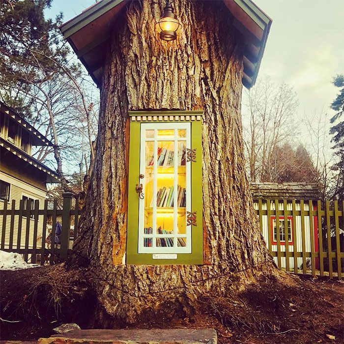 Perempuan Ini Ubah Pohon Mati Berusia 110 Tahun Jadi Mini Perpustakaan, Hasilnya Menakjubkan!