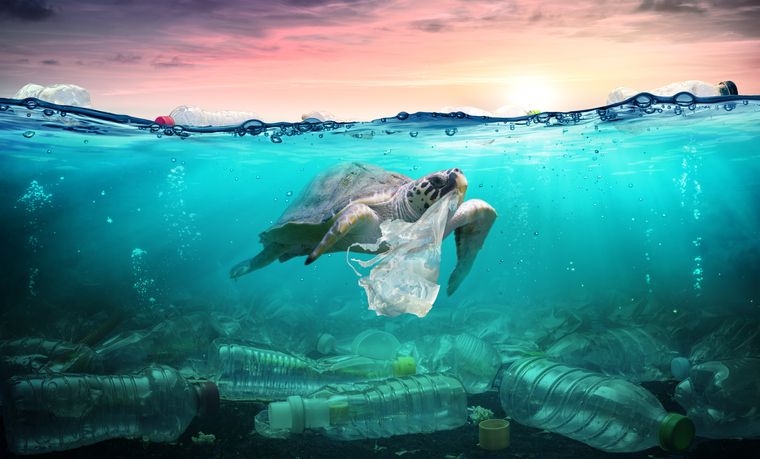 Sampah mengancam kehidupan di laut
