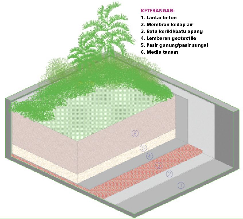 Membuat Roof Garden