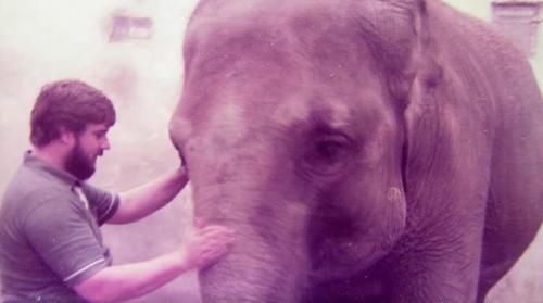 Video Mengharukan, Inilah Momen Reuni Zookeeper dengan Gajah yang Ia Rawat 30 Tahun Lalu