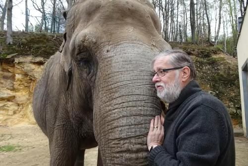 Video Mengharukan, Inilah Momen Reuni Zookeeper dengan Gajah yang Ia Rawat 30 Tahun Lalu