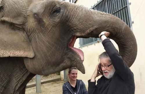 Video Mengharukan, Inilah Momen Reuni Zookeeper dengan Gajah yang Ia Rawat 30 Tahun Lalu