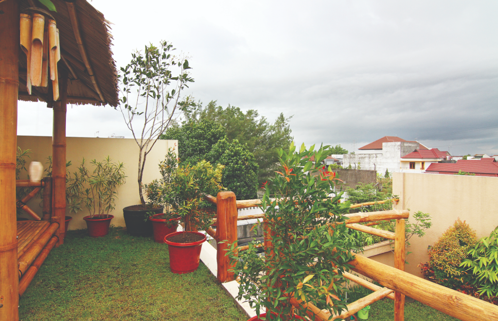 Roof Garden