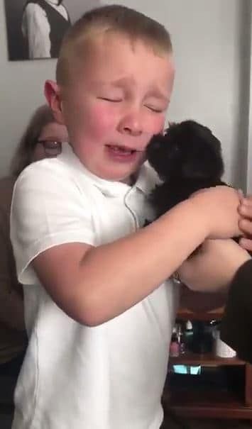 Diberi Kejutan Anak Anjing oleh Kakek dan Neneknya, Ekspresi Bocah Ini Sungguh Menggemaskan dan Menyentuh Hati