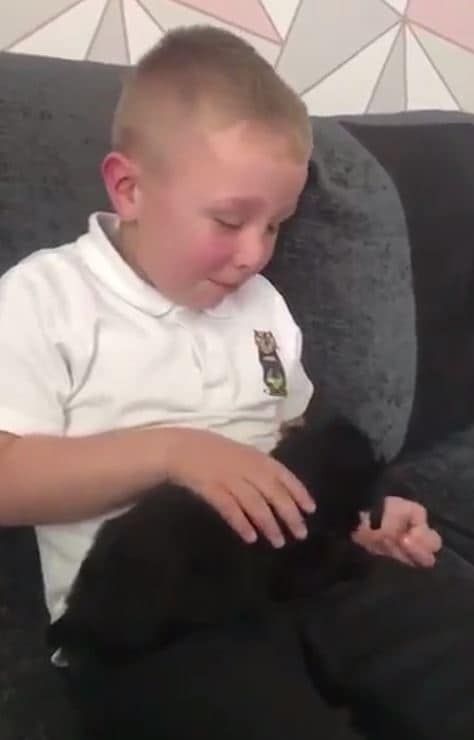 Menggemaskan, Lihat Video Anak Kecil Terharu Setelah Kakek dan Neneknya Beri Kejutan Anak Anjing