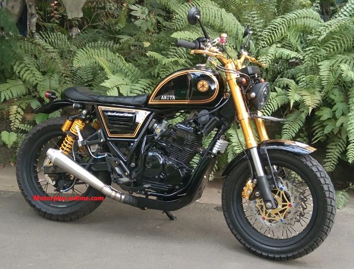 custom scorpio scrambler