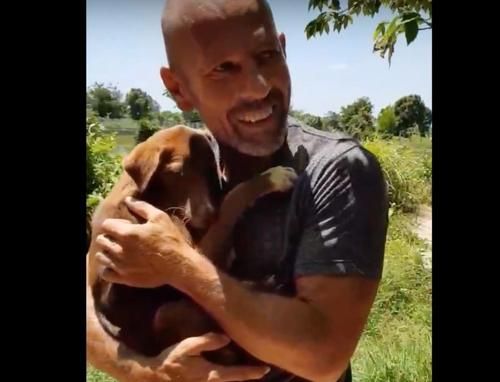 Video Kisah Mengharukan Sanie, Anjing yang Diselamatkan Sebelum Disembelih Pemiliknya