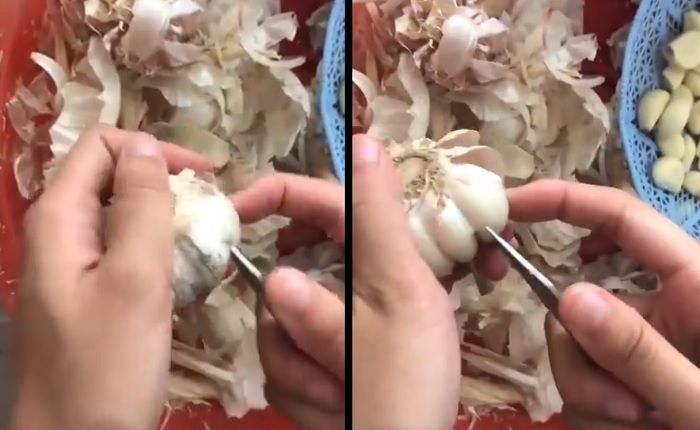 Video Cara Cepat dan Mudah Kupas Bawang Putih Ini Viral, Warganet Kesal Hingga Marah karena Selama Ini Lakukan Cara yang Salah