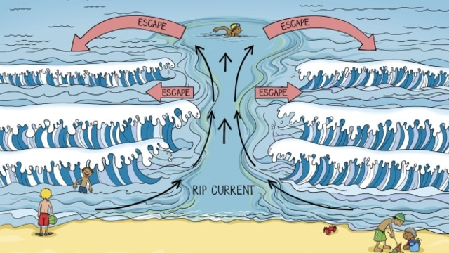 Cara menyelamatkan diri dari rip current 