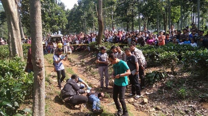 Polisi melakukan olah TKP dugaan pembunuhan seorang pria yang jasadnya ditemukan di kebun teh Kampung Tegalega, Desa Mekarwangi, Kecamatan Warungkondang, Minggu (26/5/2019). 