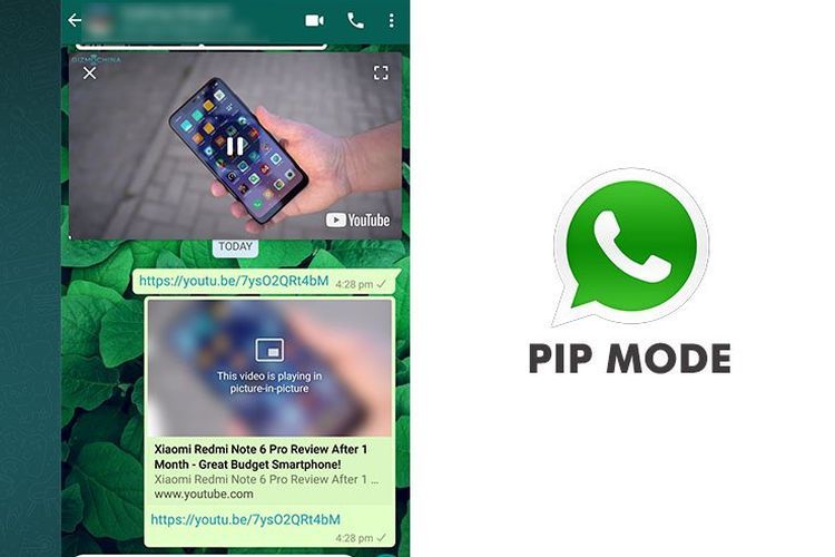Tips WA: Fitur PiP pada aplikasi jadi salah satu cara mudah nonton Youtube sambil chattingan via WhatsApp