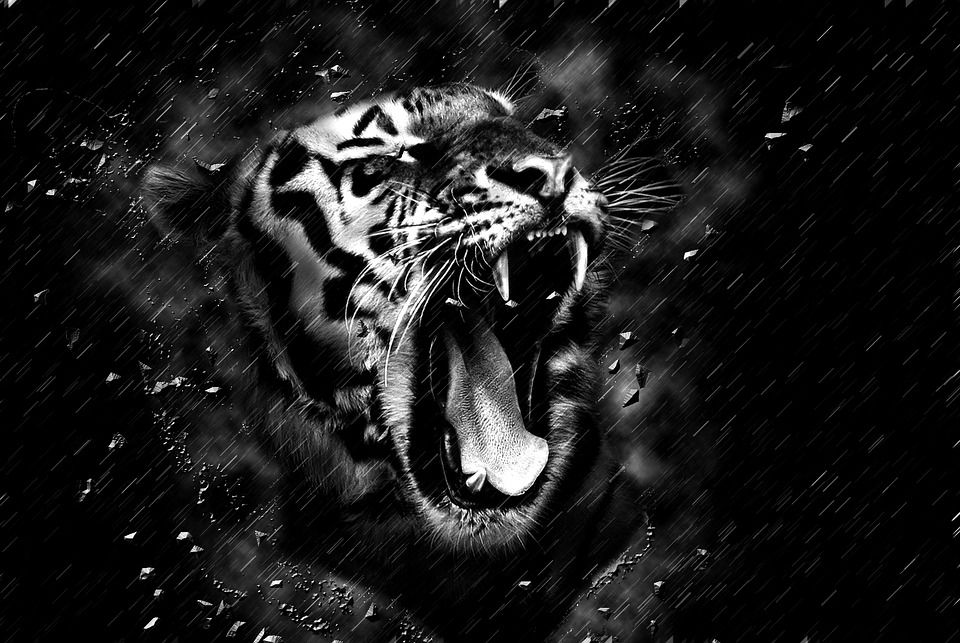 Ilustrasi harimau besar