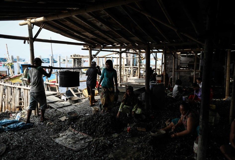 Warga kampung kerang hijau sedang mengupas kerang hasil budidaya nelayan yang ada di Muara Angke, Penjaringan, Jakarta Utara, Jumat (5/7/2019). Kawasan ini merupakan sentra pengolahan kerang hijau yang ada di bibir pantai utara Jakarta.