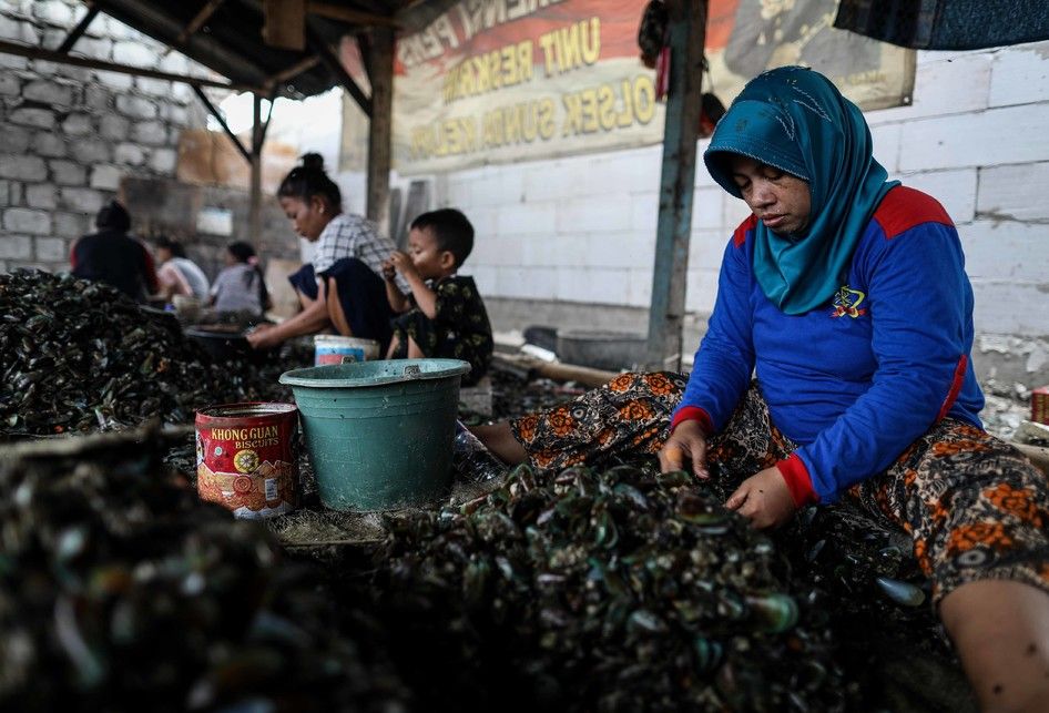 Warga kampung kerang hijau sedang mengupas kerang hasil budidaya nelayan yang ada di Muara Angke, Penjaringan, Jakarta Utara, Jumat (5/7/2019). Kawasan ini merupakan sentra pengolahan kerang hijau yang ada di bibir pantai utara Jakarta.
