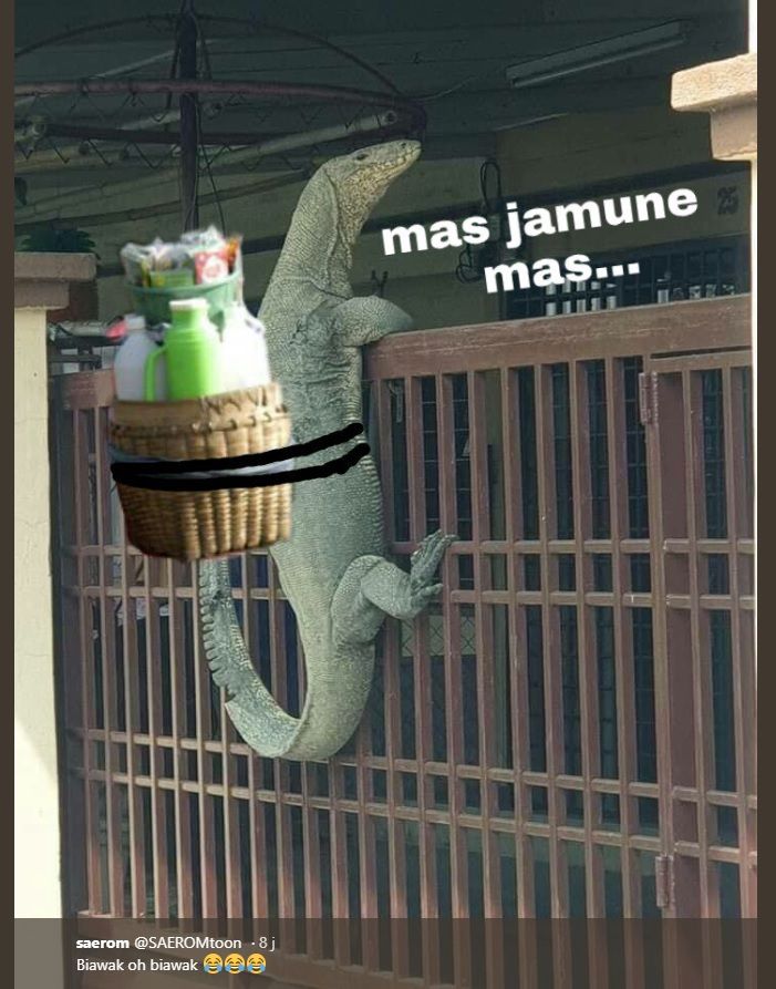 Meme biawak manjat pagar