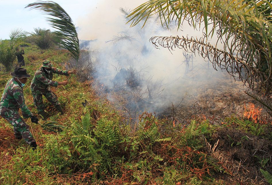 Prajurit TNI Kodim 0116/Nagan Raya berusaha memadamkan api yang membakar lahan gambut dengan alat seadanya di kawasan perkebunan kelapa sawit milik PT Fajar Baizury Desa Cot Muu, Kecamatan Tadu Raya, Nagan Raya, Aceh, Rabu (3/7/2019). Menurut keterangan Dandim Nagan Raya Letkol Kav Nanak Yuliana, se