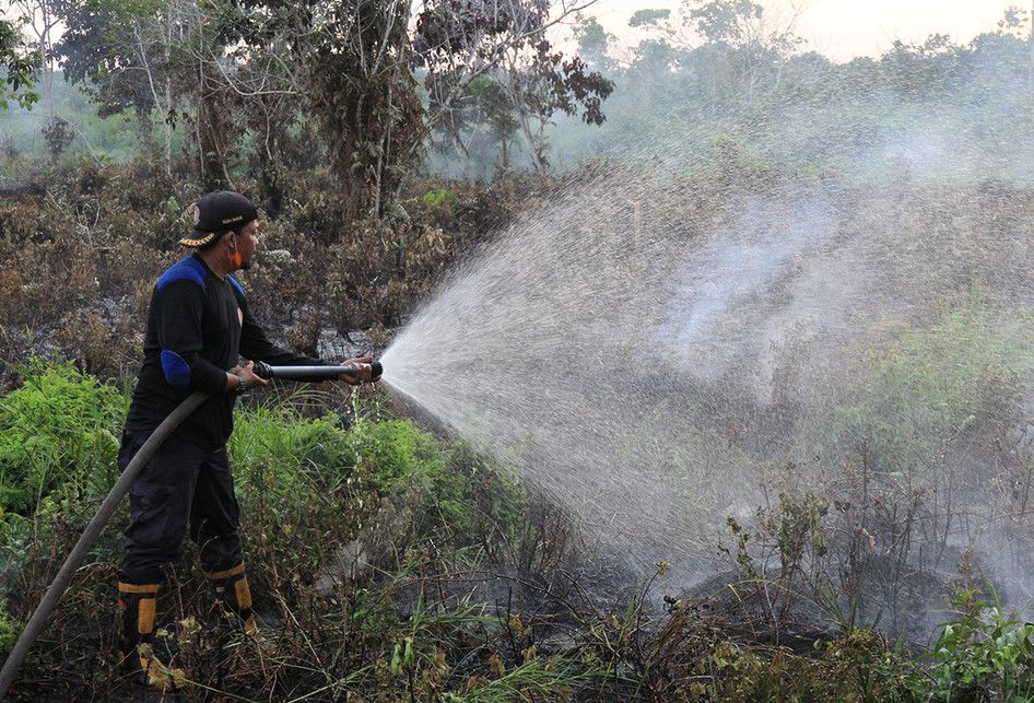 Petugas berusaha memadamkan kebakaran lahan gambut di Desa Alue Peunyarieng, Kecamatan Meureubo, Aceh Barat, Aceh, Selasa (9/7/2019). Badan Penanggulangan Bencana Aceh (BPBA) menyebutkan Kebakaran hutan dan lahan (Karhutla) meluas dari 99 hektar menjadi 112 hektar yang tersebar di 10 Kabupaten di Pr