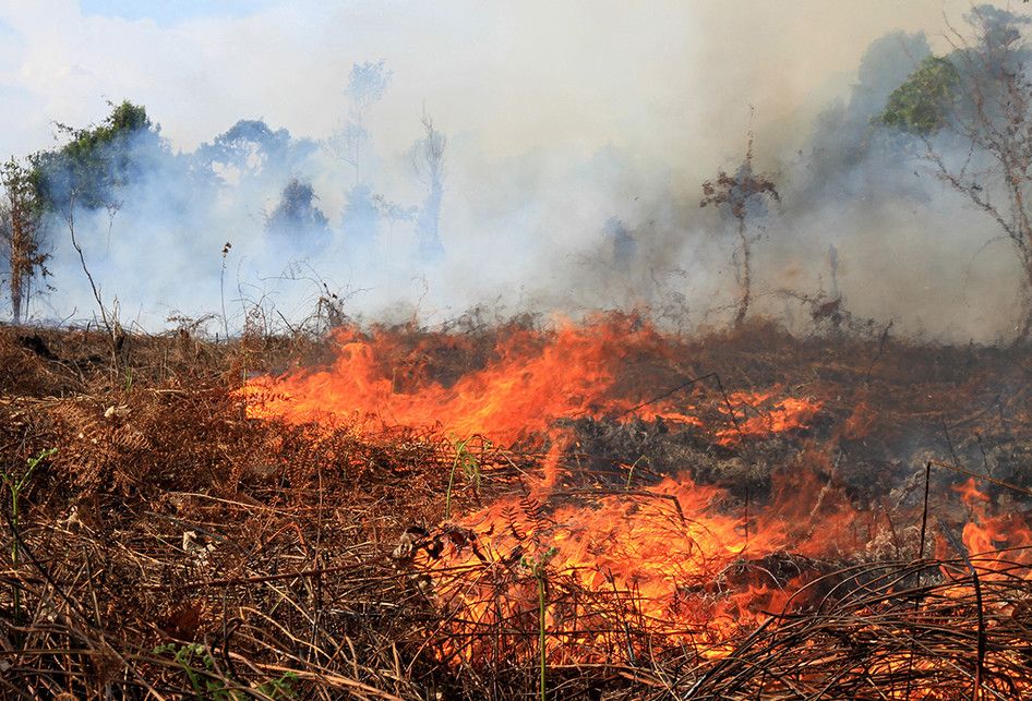 Suasana kebakaran lahan gambut di Desa Napai, Kecamatan Woyla Barat, Aceh Barat, Aceh, Senin (8/7/2019). Data Badan Penanggulangan Bencana Aceh (BPBA) menerangkan, Kebakaran hutan dan lahan (Karhutla) di Provinsi Aceh mencapai 99 hektar yang tersebar di Kabupaten Aceh Barat, Nagan Raya, Bener Meriah