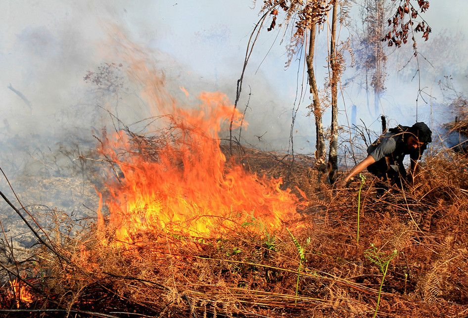 Warga berusaha memadamkan api yang membakar lahan gambut dengan alat seadanya di Desa Napai, Kecamatan Woyla Barat, Aceh Barat, Aceh, Senin (8/7/2019). Data Badan Penanggulangan Bencana Aceh (BPBA) menerangkan, Kebakaran hutan dan lahan (Karhutla) di Provinsi Aceh mencapai 99 hektar yang tersebar di Kabupaten Aceh Barat, Nagan Raya, Bener Meriah, Aceh Barat Daya, Aceh Besar, Aceh Selatan, Aceh Jaya, Aceh Tengah, Aceh Singkil dan Kabupaten Gayo Lues.